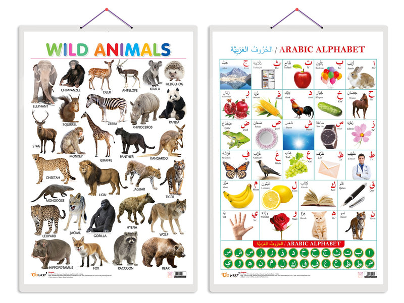 Set of 2 Wild Animals and Arabic Alphabet?(Arabic) Early Learning Educational Charts for Kids | 20"X30" inch |Non-Tearable and Waterproof | Double Sided Laminated | Perfect for Homeschooling, Kindergarten and Nursery Students