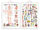 Set of 2 Parts of the Body and Action Words Early Learning Educational Charts for Kids | 20"X30" inch |Non-Tearable and Waterproof | Double Sided Laminated | Perfect for Homeschooling, Kindergarten and Nursery Students