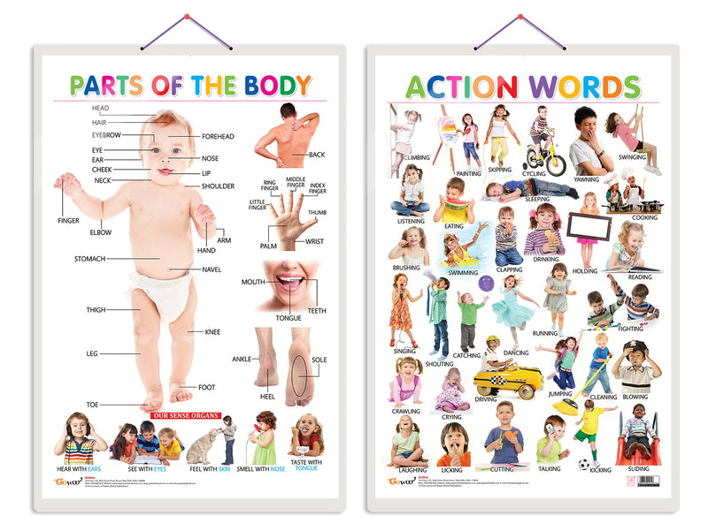 Set of 2 Parts of the Body and Action Words Early Learning Educational Charts for Kids | 20"X30" inch |Non-Tearable and Waterproof | Double Sided Laminated | Perfect for Homeschooling, Kindergarten and Nursery Students