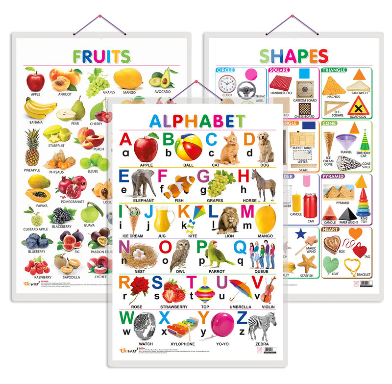 Set of 3 Alphabet, Fruits and Shapes Early Learning Educational Charts for Kids | 20"X30" inch |Non-Tearable and Waterproof | Double Sided Laminated | Perfect for Homeschooling, Kindergarten and Nursery Students