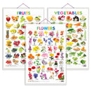 Set of 3 Fruits, Vegetables and Flowers Early Learning Educational Charts for Kids | 20"X30" inch |Non-Tearable and Waterproof | Double Sided Laminated | Perfect for Homeschooling, Kindergarten and Nursery Students