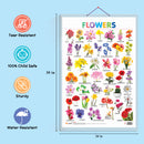 Set of 3 Fruits, Vegetables and Flowers Early Learning Educational Charts for Kids | 20"X30" inch |Non-Tearable and Waterproof | Double Sided Laminated | Perfect for Homeschooling, Kindergarten and Nursery Students