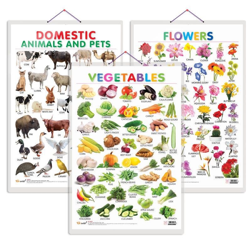 Set of 3 Vegetables, Domestic Animals and Pets and Flowers Early Learning Educational Charts for Kids | 20"X30" inch |Non-Tearable and Waterproof | Double Sided Laminated | Perfect for Homeschooling, Kindergarten and Nursery Students