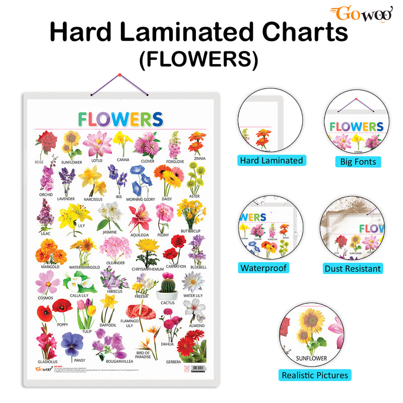 Set of 3 Vegetables, Domestic Animals and Pets and Flowers Early Learning Educational Charts for Kids | 20"X30" inch |Non-Tearable and Waterproof | Double Sided Laminated | Perfect for Homeschooling, Kindergarten and Nursery Students