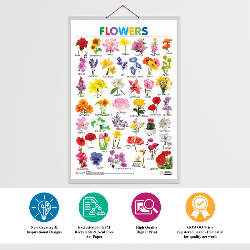 Set of 3 Vegetables, Domestic Animals and Pets and Flowers Early Learning Educational Charts for Kids | 20"X30" inch |Non-Tearable and Waterproof | Double Sided Laminated | Perfect for Homeschooling, Kindergarten and Nursery Students