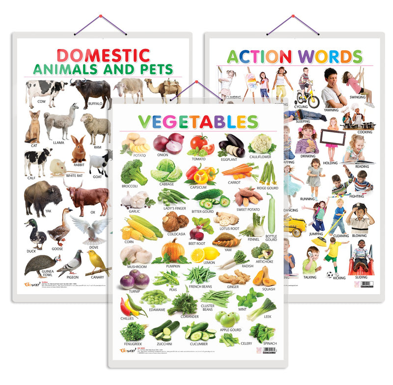 Set of 3 Vegetables, Domestic Animals and Pets and Action Words Early Learning Educational Charts for Kids | 20"X30" inch |Non-Tearable and Waterproof | Double Sided Laminated | Perfect for Homeschooling, Kindergarten and Nursery Students