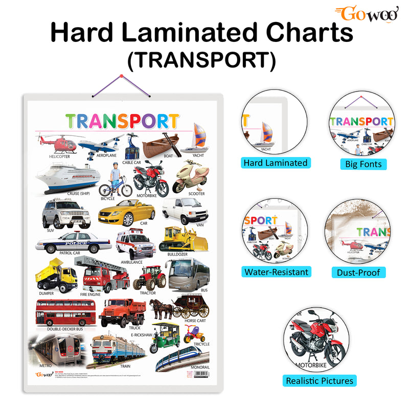 Set of 3 Vegetables, Domestic Animals and Pets and Transport Early Learning Educational Charts for Kids | 20"X30" inch |Non-Tearable and Waterproof | Double Sided Laminated | Perfect for Homeschooling, Kindergarten and Nursery Students