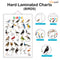 Set of 3 Domestic Animals and Pets, Wild Animals and Birds Early Learning Educational Charts for Kids | 20"X30" inch |Non-Tearable and Waterproof | Double Sided Laminated | Perfect for Homeschooling, Kindergarten and Nursery Students