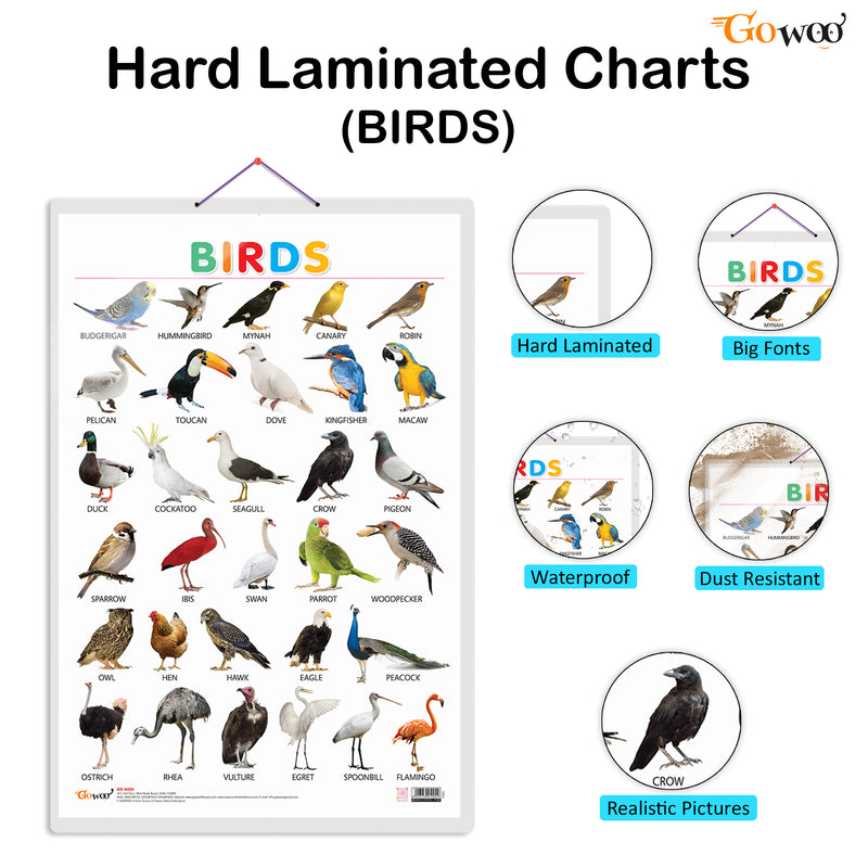 Set of 3 Domestic Animals and Pets, Wild Animals and Birds Early Learning Educational Charts for Kids | 20"X30" inch |Non-Tearable and Waterproof | Double Sided Laminated | Perfect for Homeschooling, Kindergarten and Nursery Students