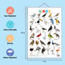 Set of 3 Domestic Animals and Pets, Wild Animals and Birds Early Learning Educational Charts for Kids | 20"X30" inch |Non-Tearable and Waterproof | Double Sided Laminated | Perfect for Homeschooling, Kindergarten and Nursery Students