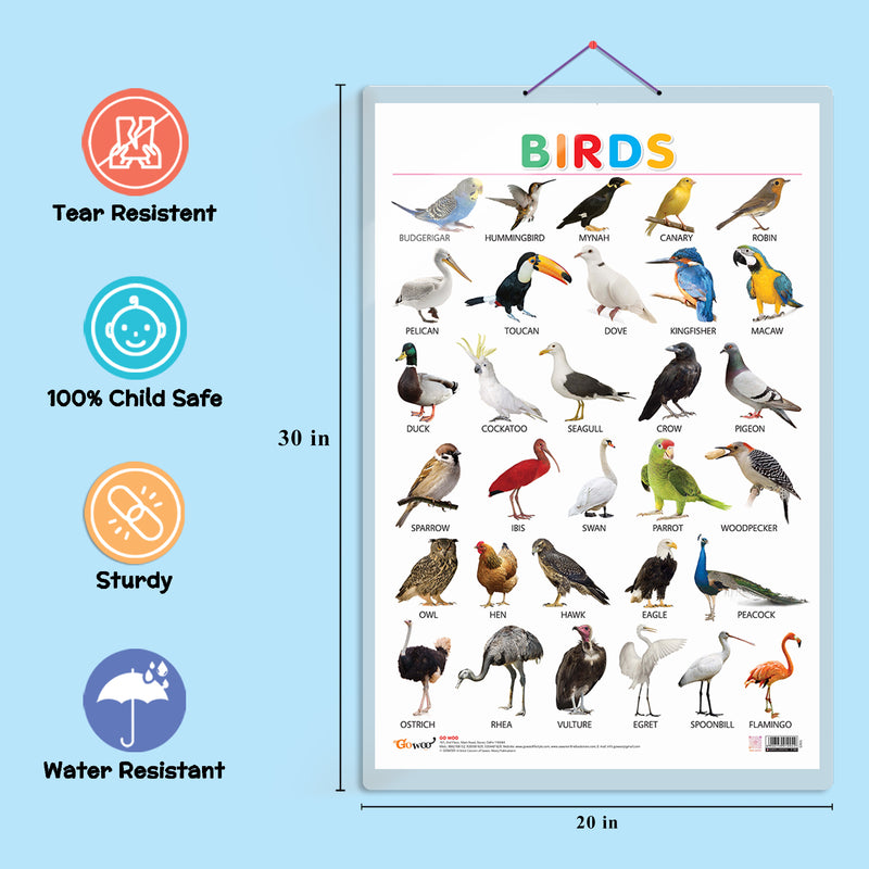 Set of 3 Domestic Animals and Pets, Wild Animals and Birds Early Learning Educational Charts for Kids | 20"X30" inch |Non-Tearable and Waterproof | Double Sided Laminated | Perfect for Homeschooling, Kindergarten and Nursery Students