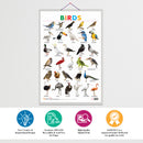 Set of 3 Domestic Animals and Pets, Wild Animals and Birds Early Learning Educational Charts for Kids | 20"X30" inch |Non-Tearable and Waterproof | Double Sided Laminated | Perfect for Homeschooling, Kindergarten and Nursery Students