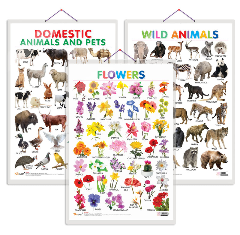 Set of 3 Domestic Animals and Pets, Wild Animals and Flowers Early Learning Educational Charts for Kids | 20"X30" inch |Non-Tearable and Waterproof | Double Sided Laminated | Perfect for Homeschooling, Kindergarten and Nursery Students