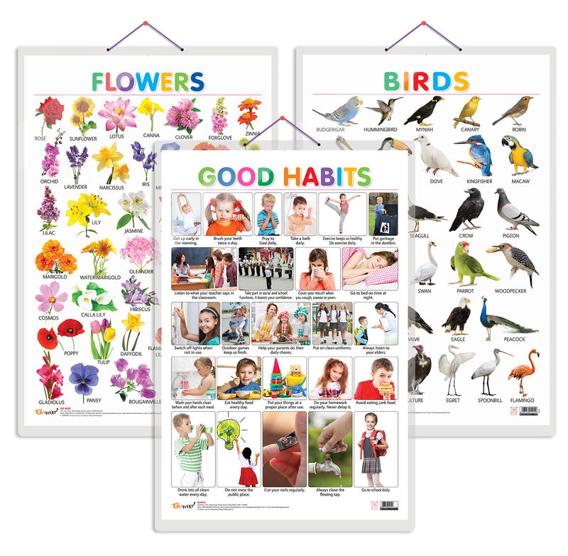 Set of 3 Birds, Flowers and Good Habits Early Learning Educational Charts for Kids | 20"X30" inch |Non-Tearable and Waterproof | Double Sided Laminated | Perfect for Homeschooling, Kindergarten and Nursery Students