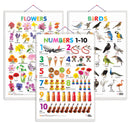 Set of 3 Birds, Flowers and Numbers 1-10 Early Learning Educational Charts for Kids | 20"X30" inch |Non-Tearable and Waterproof | Double Sided Laminated | Perfect for Homeschooling, Kindergarten and Nursery Students