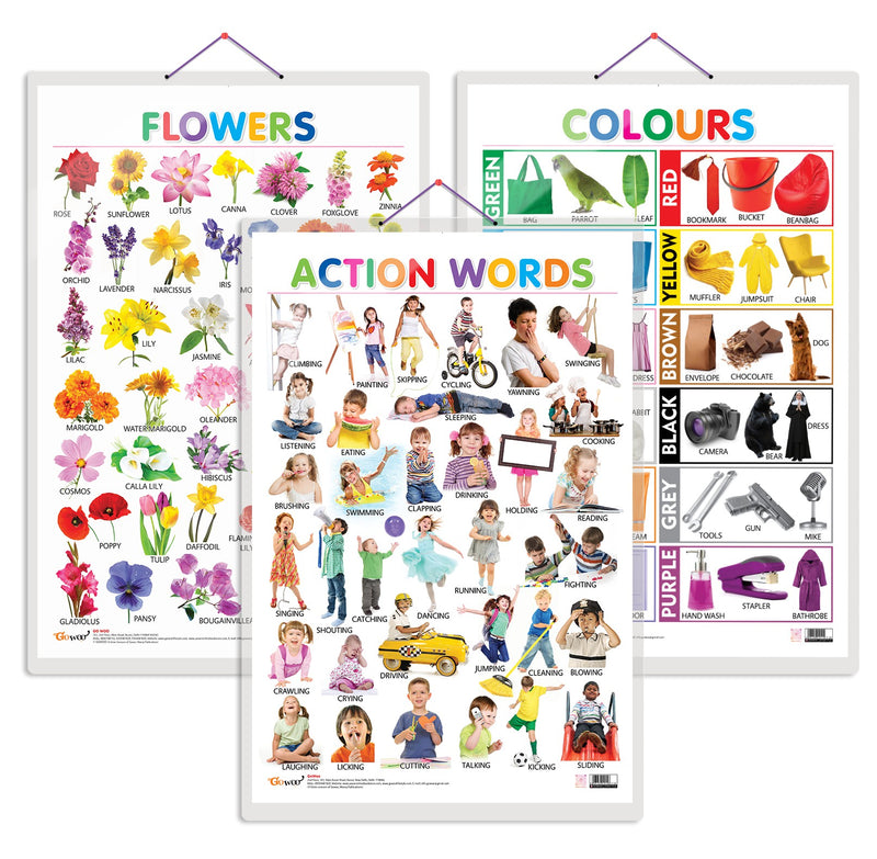 Set of 3 Flowers, Colours and Action Words Early Learning Educational Charts for Kids | 20"X30" inch |Non-Tearable and Waterproof | Double Sided Laminated | Perfect for Homeschooling, Kindergarten and Nursery Students