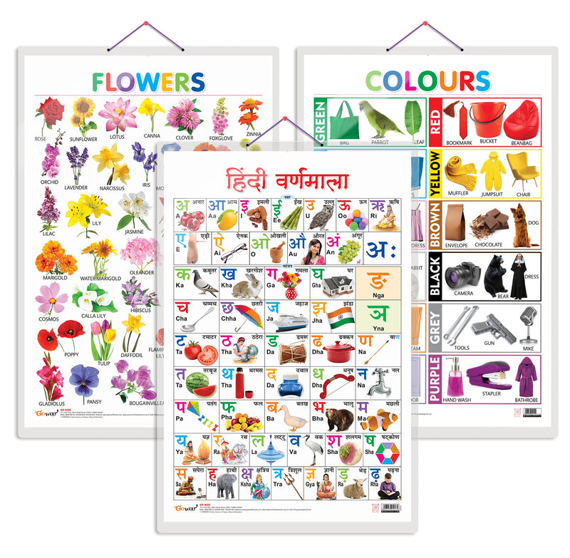 Set of 3 Flowers, Colours and Hindi Varnamala Early Learning Educational Charts for Kids | 20"X30" inch |Non-Tearable and Waterproof | Double Sided Laminated | Perfect for Homeschooling, Kindergarten and Nursery Students