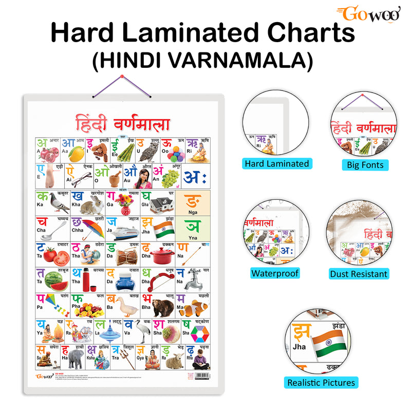 Set of 3 Flowers, Colours and Hindi Varnamala Early Learning Educational Charts for Kids | 20"X30" inch |Non-Tearable and Waterproof | Double Sided Laminated | Perfect for Homeschooling, Kindergarten and Nursery Students