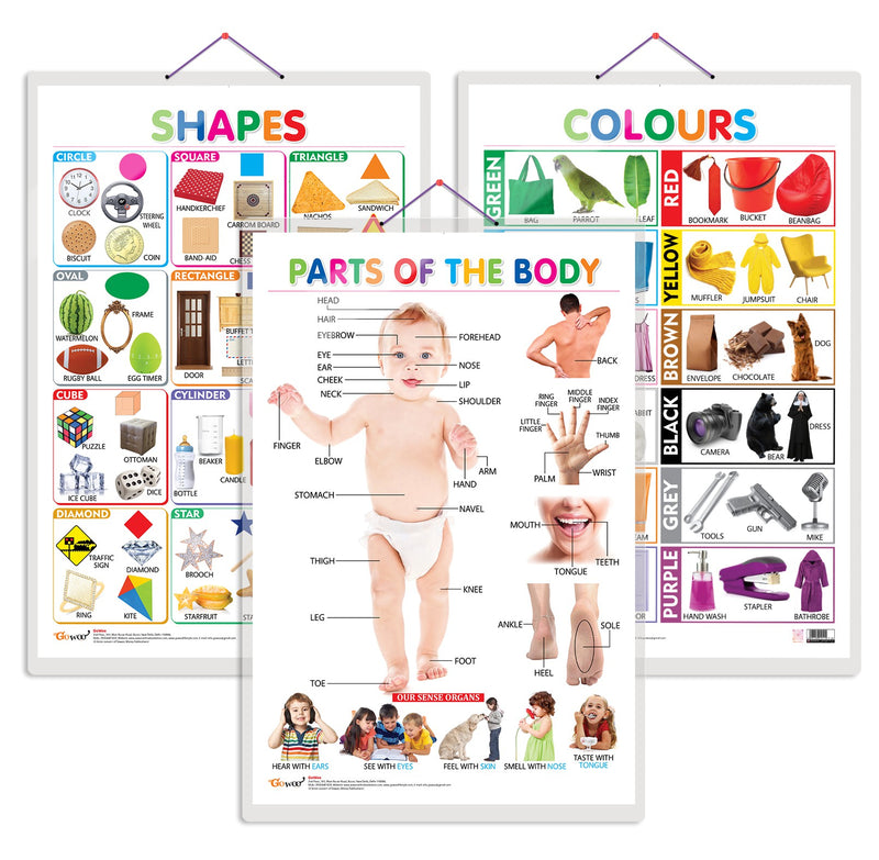 Set of 3 Colours, Shapes and Parts of the Body Early Learning Educational Charts for Kids | 20"X30" inch |Non-Tearable and Waterproof | Double Sided Laminated | Perfect for Homeschooling, Kindergarten and Nursery Students