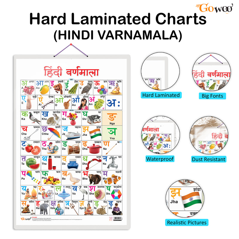 Set of 3 Parts of the Body, Good Habits and Hindi Varnamala Early Learning Educational Charts for Kids | 20"X30" inch |Non-Tearable and Waterproof | Double Sided Laminated | Perfect for Homeschooling, Kindergarten and Nursery Students