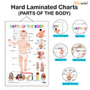 Set of 6 Parts of the Body, Transport, MATHS KEYWORDS, MONTHS OF THE YEAR AND DAYS OF THE WEEK, DAILY ROUTINE and PHONICS - 1 Early Learning Educational Charts for Kids