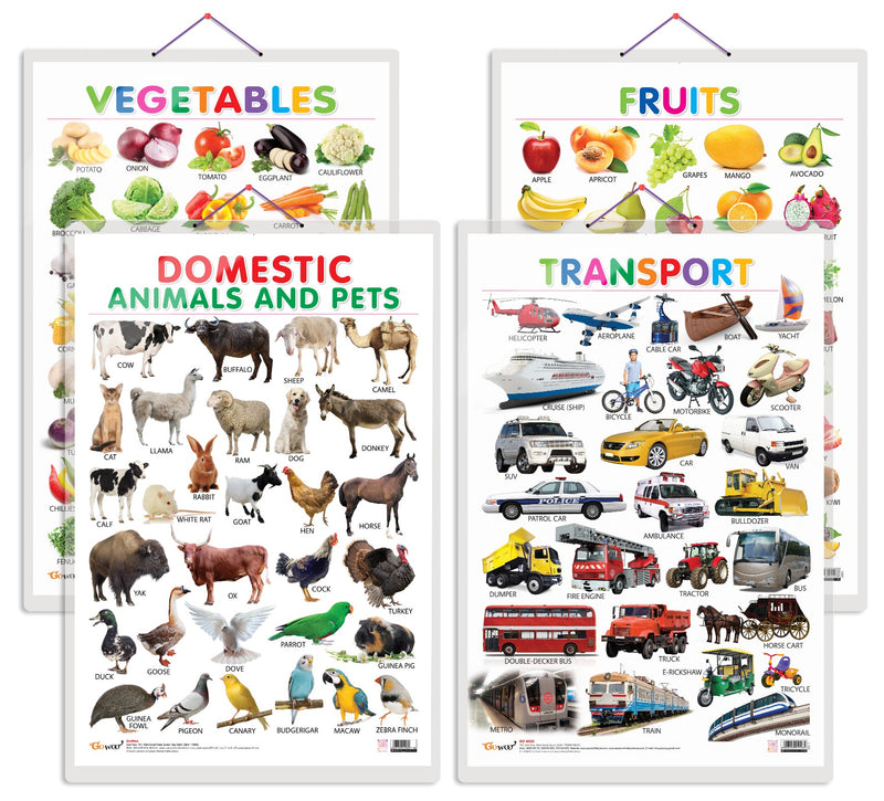 Set of 4 Fruits, Vegetables, Domestic Animals and Pets and Transport Early Learning Educational Charts for Kids | 20"X30" inch |Non-Tearable and Waterproof | Double Sided Laminated | Perfect for Homeschooling, Kindergarten and Nursery Students