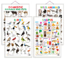 Set of 4 Domestic Animals and Pets, Wild Animals, Birds and Shapes Early Learning Educational Charts for Kids | 20"X30" inch |Non-Tearable and Waterproof | Double Sided Laminated | Perfect for Homeschooling, Kindergarten and Nursery Students