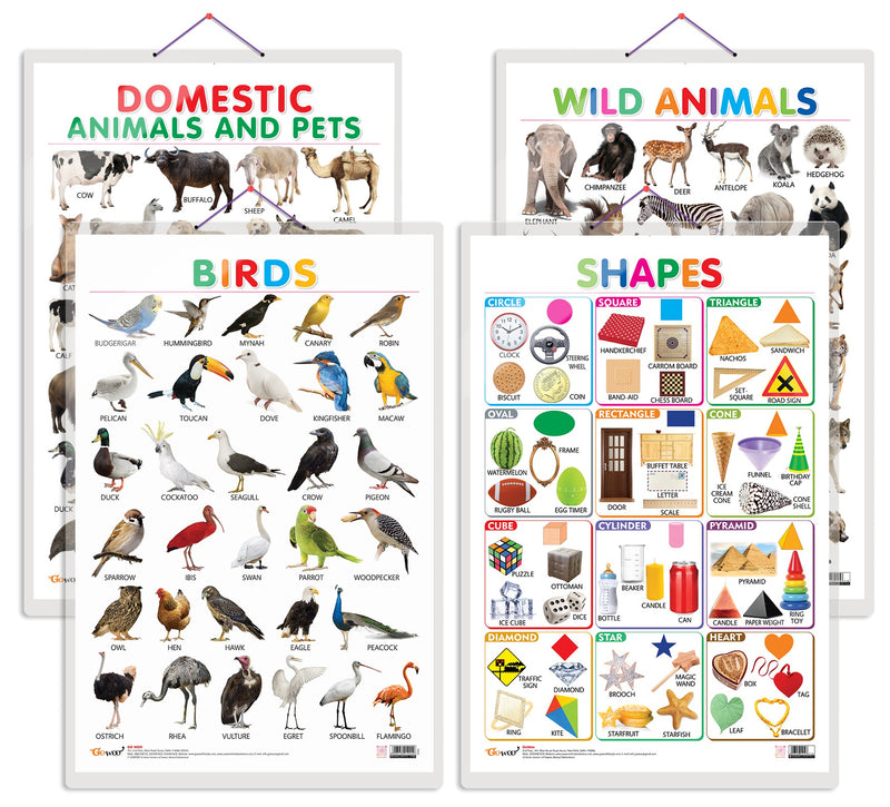 Set of 4 Domestic Animals and Pets, Wild Animals, Birds and Shapes Early Learning Educational Charts for Kids | 20"X30" inch |Non-Tearable and Waterproof | Double Sided Laminated | Perfect for Homeschooling, Kindergarten and Nursery Students