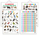 Set of 4 Domestic Animals and Pets, Wild Animals, Birds and Numbers 1-100 Early Learning Educational Charts for Kids | 20"X30" inch |Non-Tearable and Waterproof | Double Sided Laminated | Perfect for Homeschooling, Kindergarten and Nursery Students