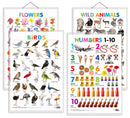 Set of 4 Wild Animals, Birds, Flowers and Numbers 1-10 Early Learning Educational Charts for Kids | 20"X30" inch |Non-Tearable and Waterproof | Double Sided Laminated | Perfect for Homeschooling, Kindergarten and Nursery Students