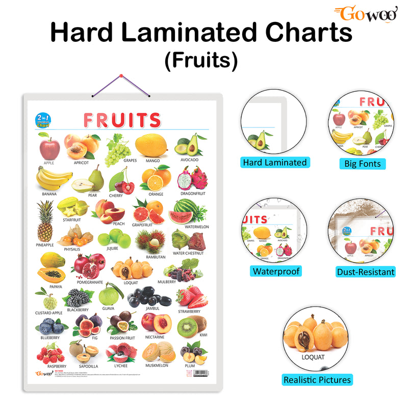 Set of 2 | 2 IN 1 COLOURS AND SHAPES and 2 IN 1 FRUITS AND VEGETABLES Early Learning Educational Charts for Kids | 20"X30" inch |Non-Tearable and Waterproof | Double Sided Laminated | Perfect for Homeschooling, Kindergarten and Nursery Students