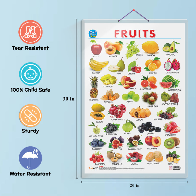 Set of 2 | 2 IN 1 COLOURS AND SHAPES and 2 IN 1 FRUITS AND VEGETABLES Early Learning Educational Charts for Kids | 20"X30" inch |Non-Tearable and Waterproof | Double Sided Laminated | Perfect for Homeschooling, Kindergarten and Nursery Students