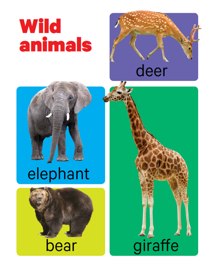 Early Learning Animals - Board Book