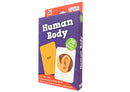 Human Body - Flash Cards