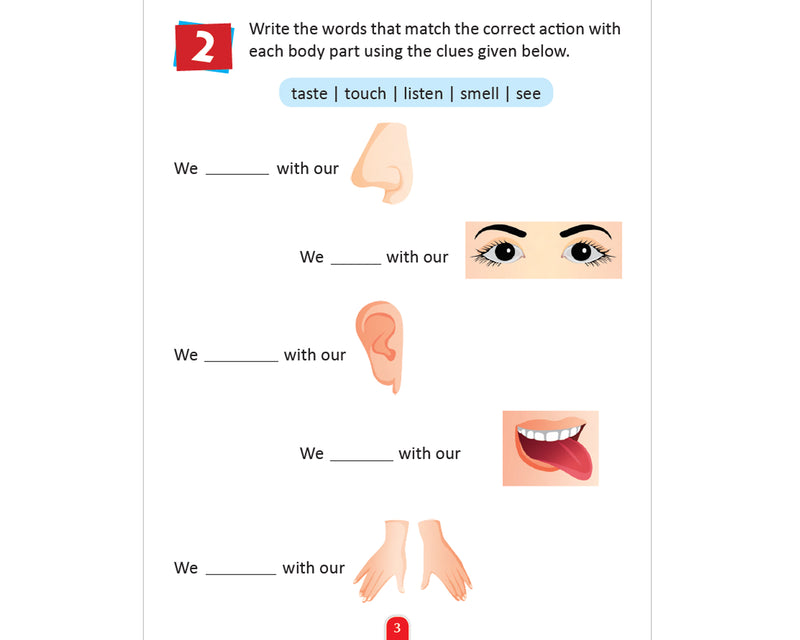 Human Body Activity Book