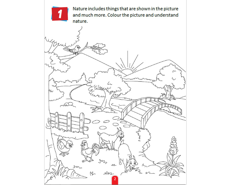 Nature Activity Book