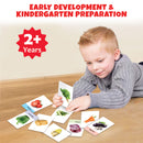 Little Berry My First Vegetables Flash Cards for Kids (36 cards) - Fun Learning Game