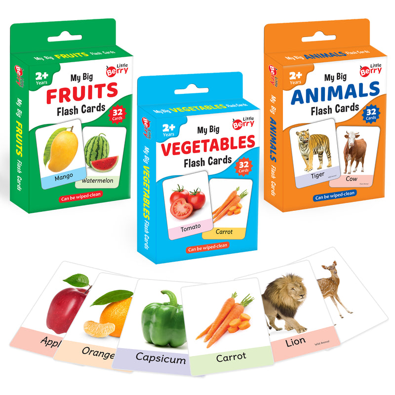 Jolly Kids Flash Cards – Fruits - Shethbooks