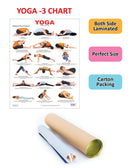 Yoga Chart - 3 : Reference Educational Wall Chart by Dreamland Publications