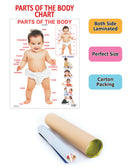 Parts of The Body : Reference Educational Wall Chart By Dreamland Publications