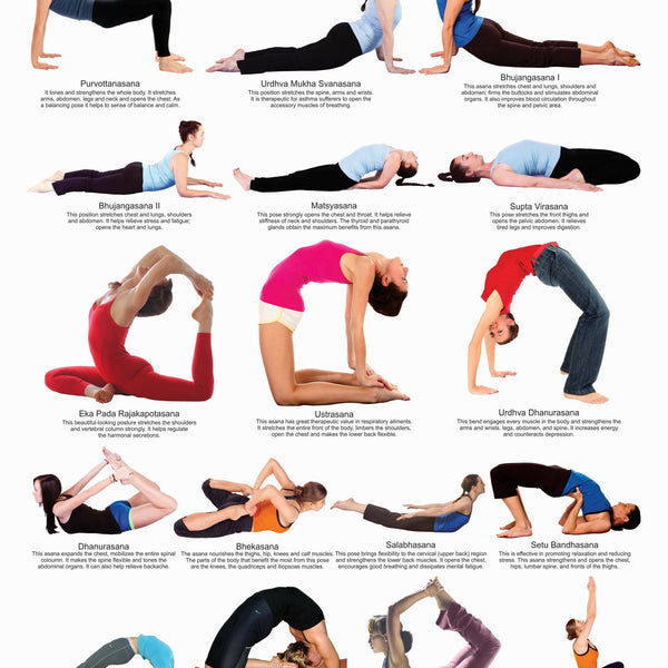 Yoga Chart - 2 Wall Chart - Both Side Hard Laminated (Size 48 x 73 cm)