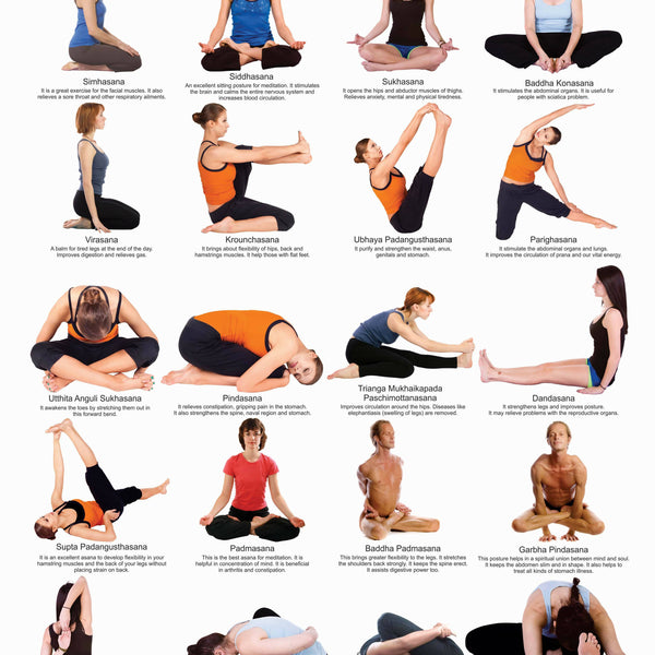 JoGenii, Yoga Chart - 5